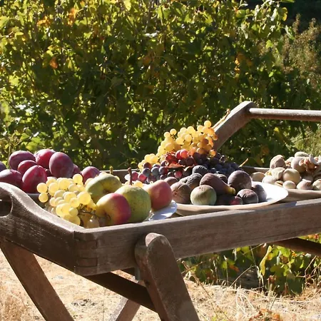 Romantik El Rincon *