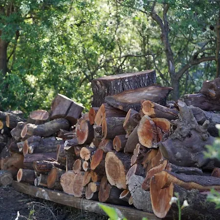 Romantik El Rincon * Puntagorda